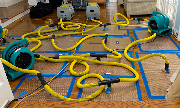 Professional Structural Drying And Dehumidification technician working in Green, OR
